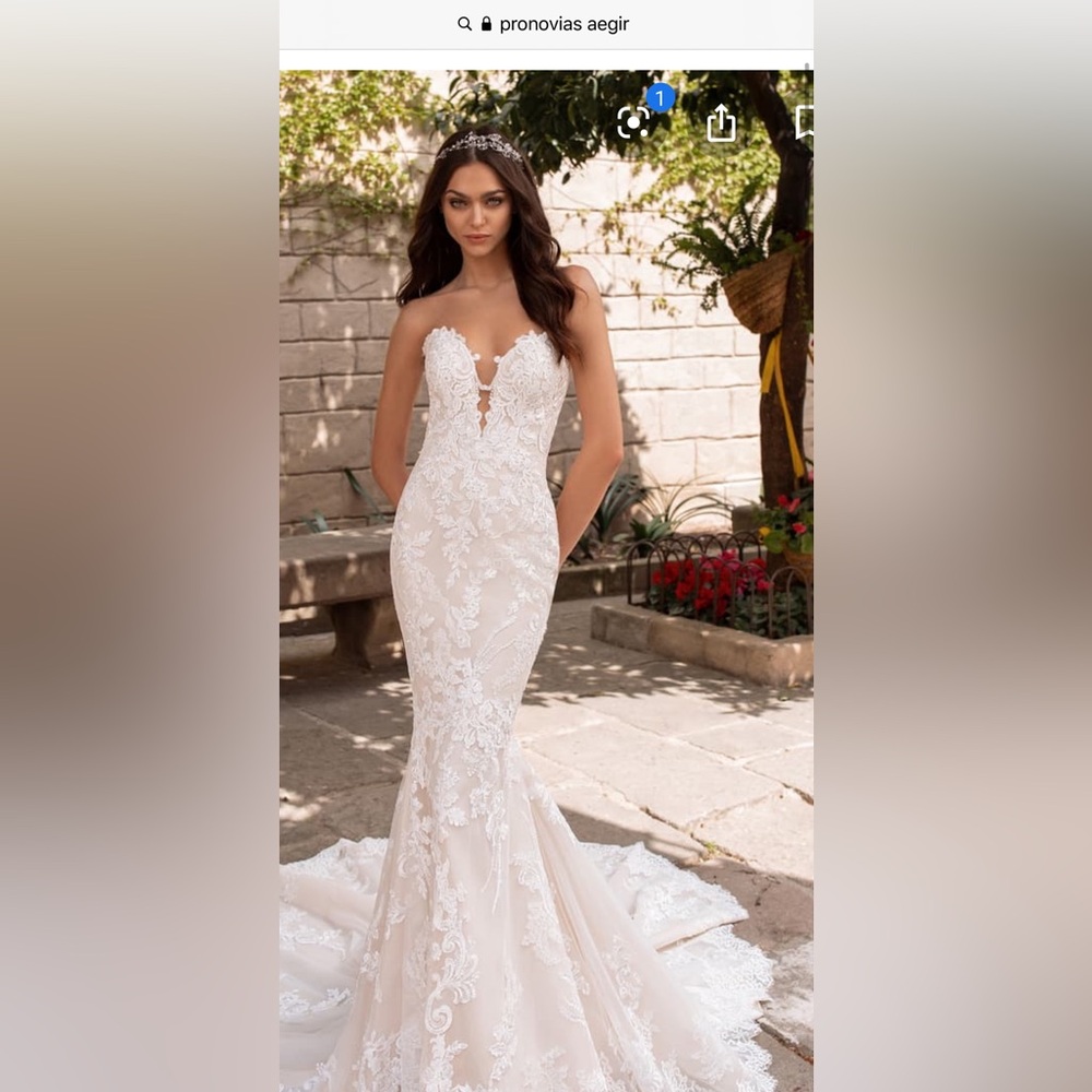 Pronovias Wedding Dress with Veil and Tulle shirt cover. New-tags attached. - Picture 3 of 15